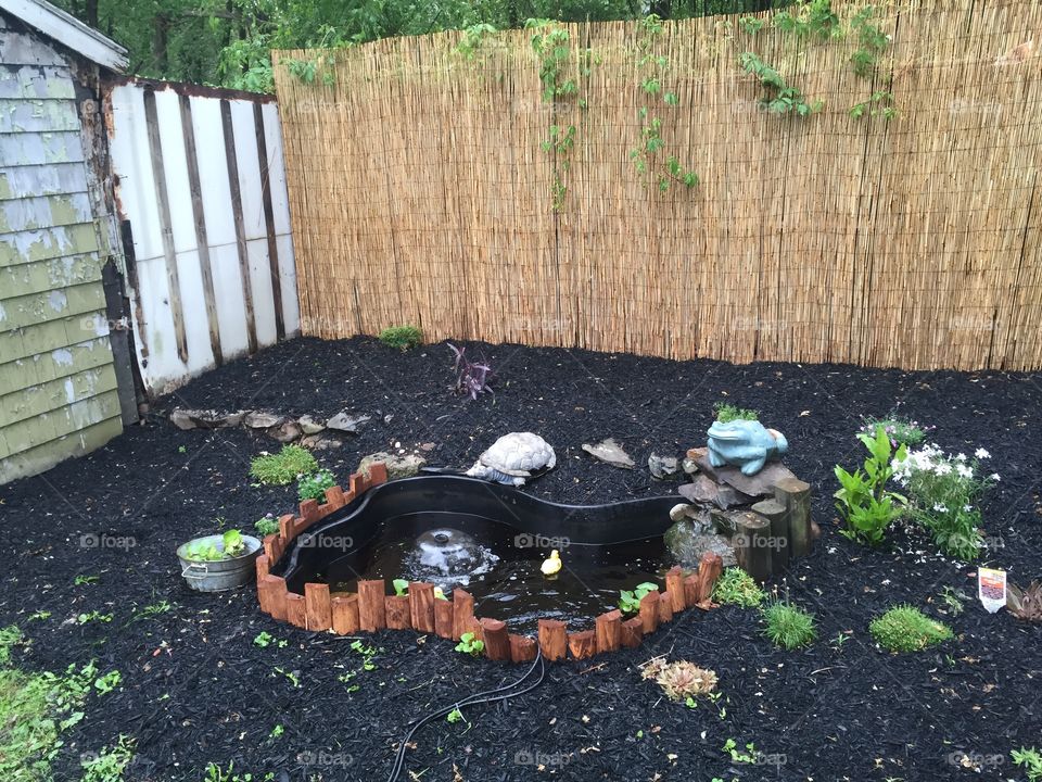 Garden, Environment, Backyard, Leaf, Soil