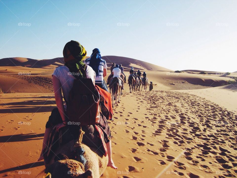 Camel tour through the desert