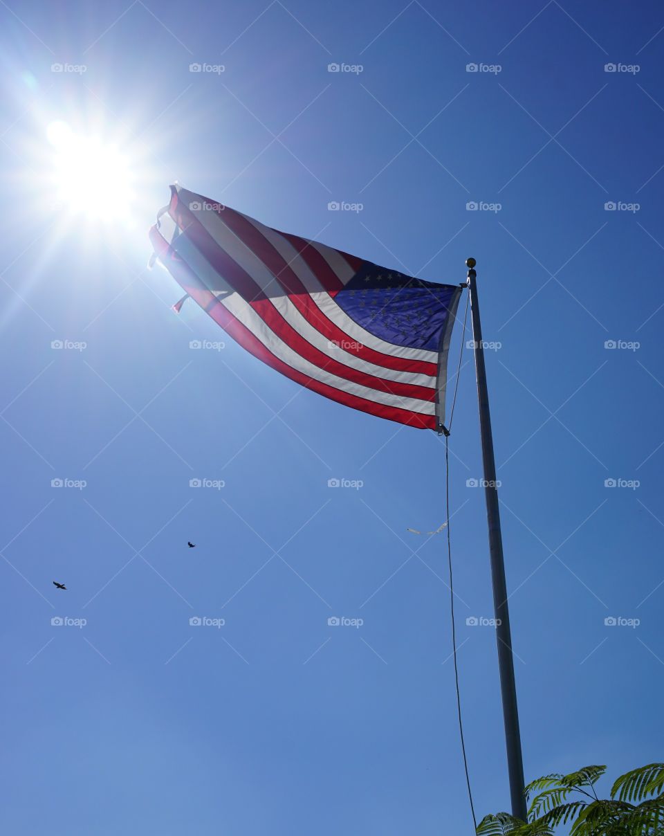 Freedom Rings. This flag flies around the clock in my friend's yard. Add some sun and birds and I could stare at this forever.