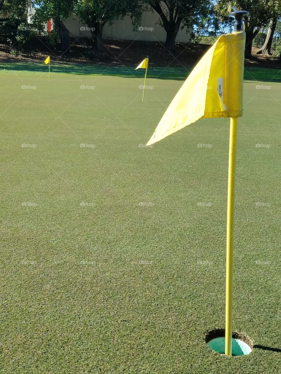 golf tee flags