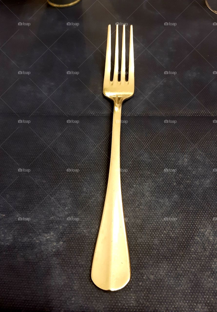 The fork