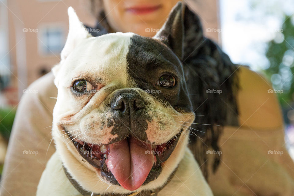 Smiling dog