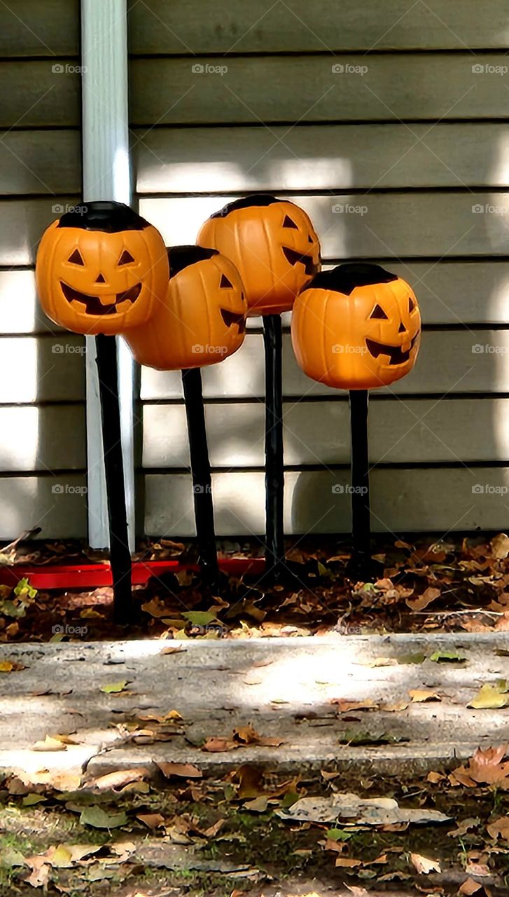 grinning orange jack-o-lantern decorations in front of a wooden apartment building wall surrounded by Autumn leaves in Oregon