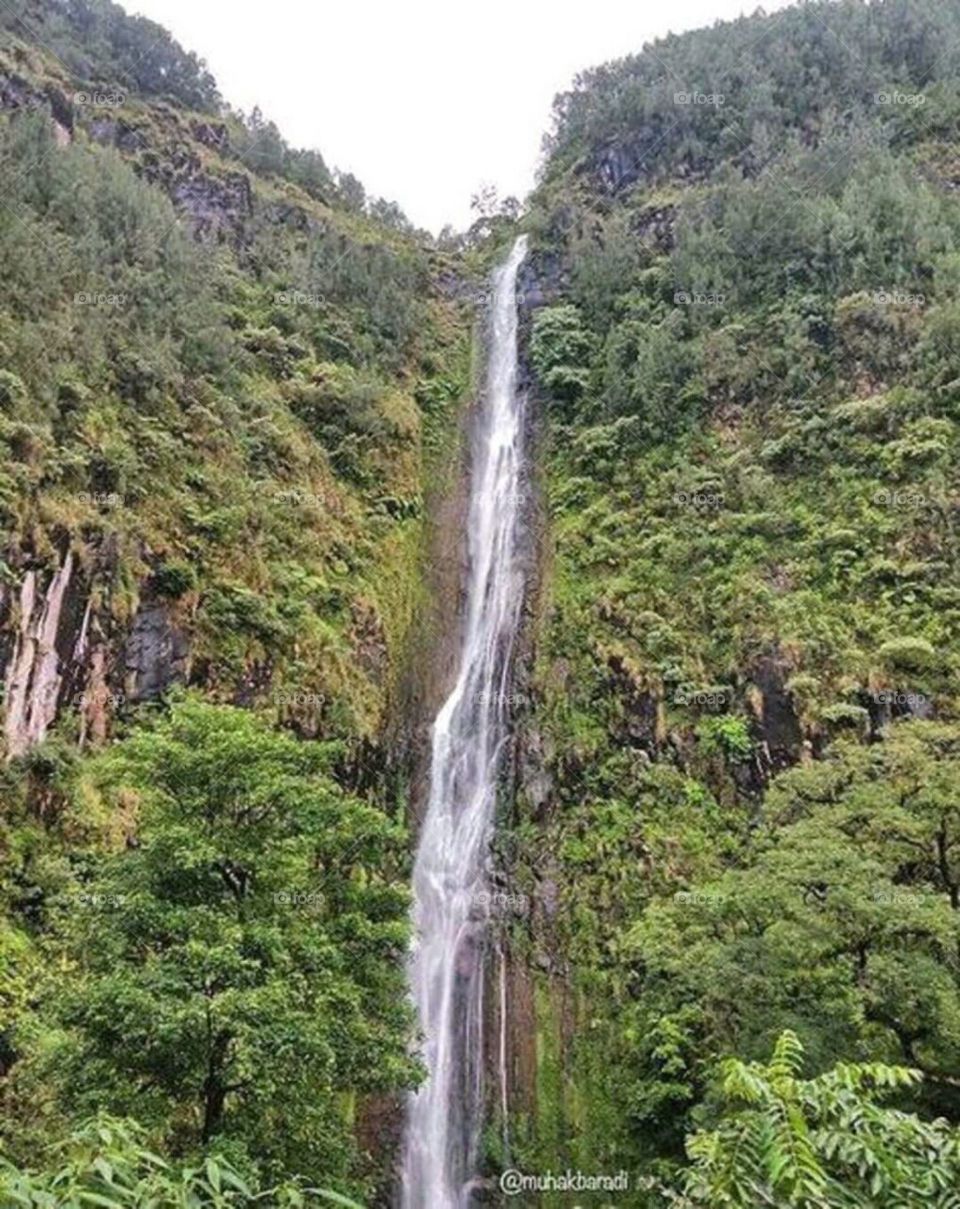 waterfall in jolotundo -indonesia country
