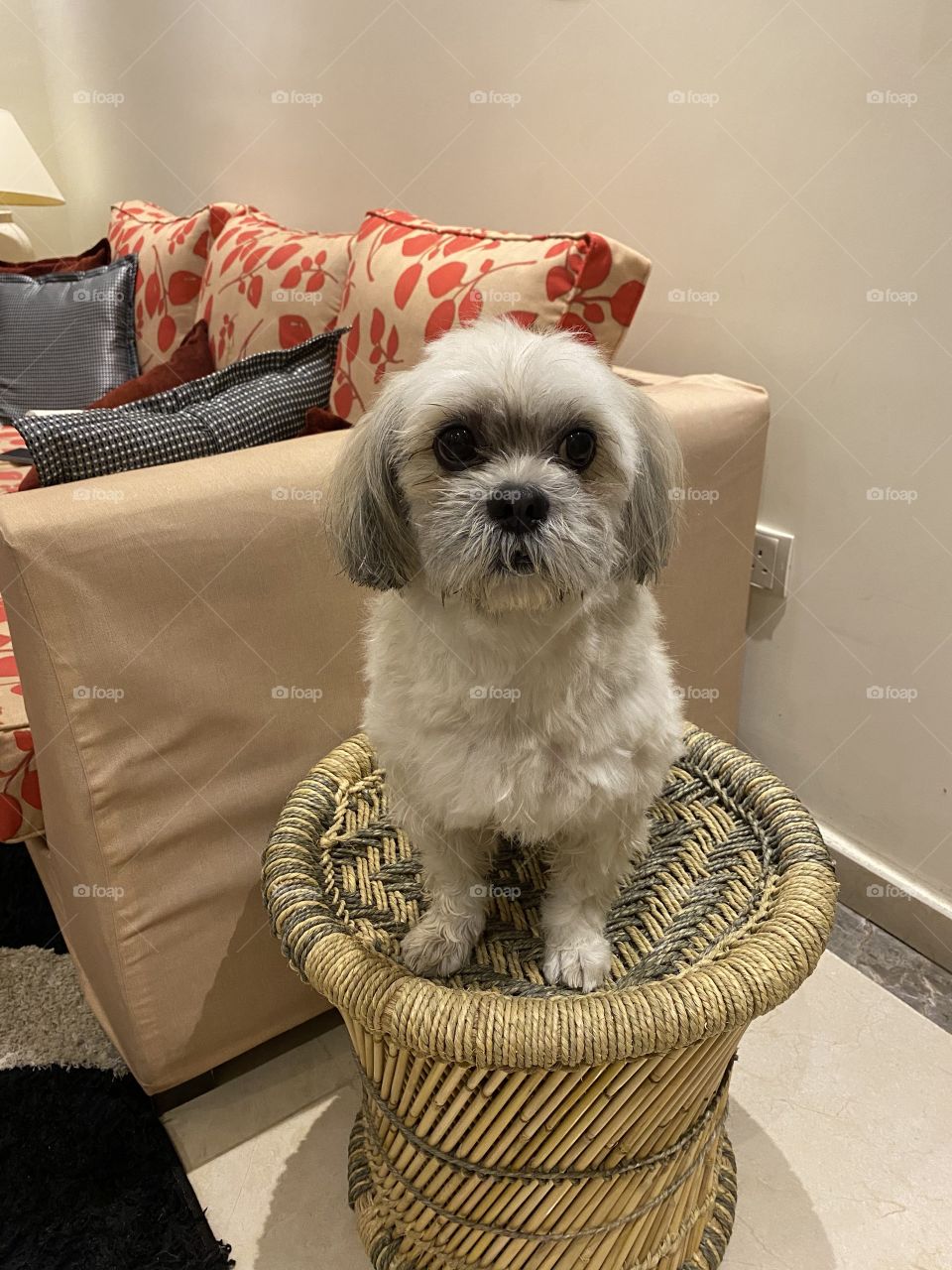 Ok I'm seating and not moving!