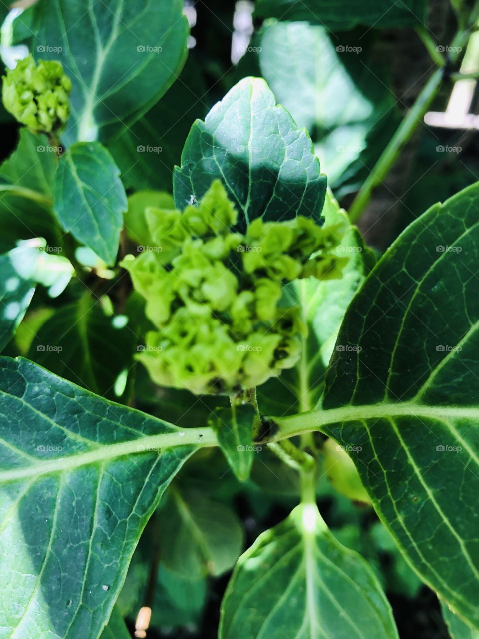 Ready for color 💕