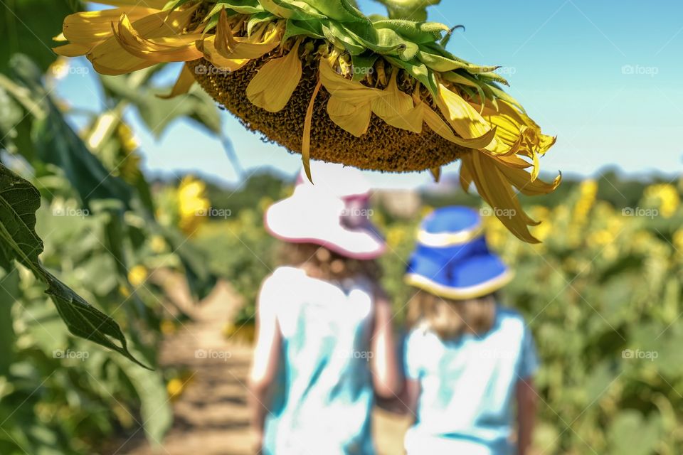 Foap, Memories of Summer. A mature sunflower droops over with young sisters strolling through the field blurred in the background. Dorothea Dix Park, Raleigh, North Carolina. 