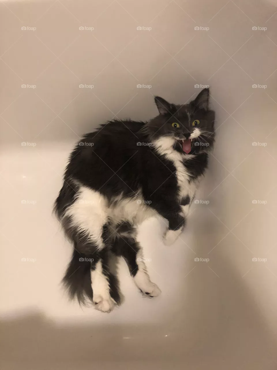 I’m yawning 