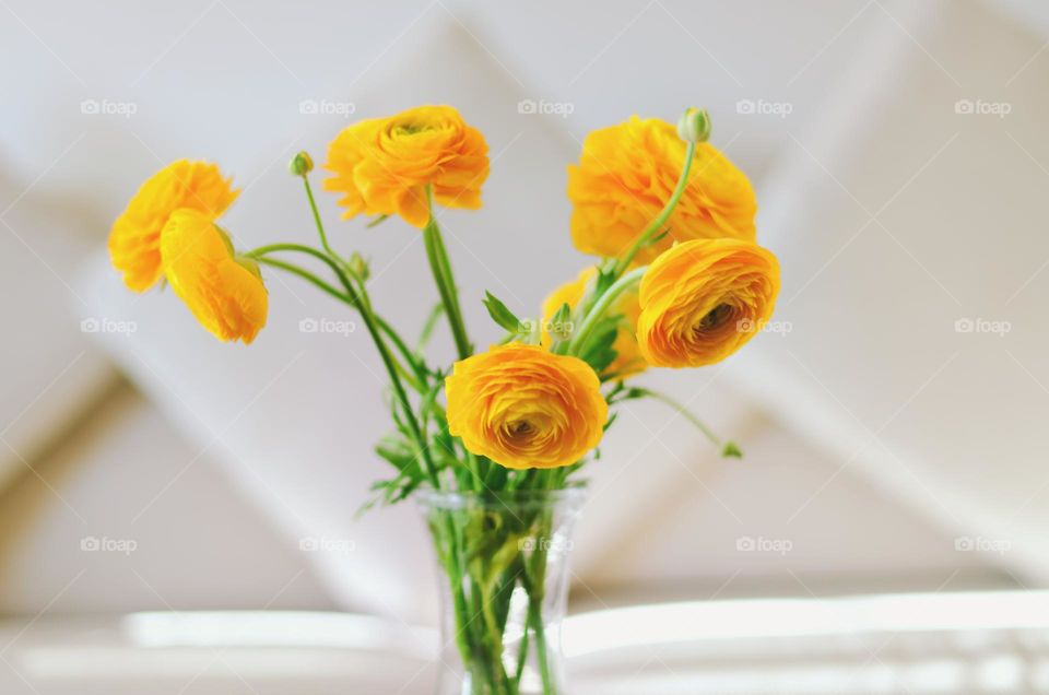 Top view of yellow blooming flowers in a vase at home close up.  Ranunculus