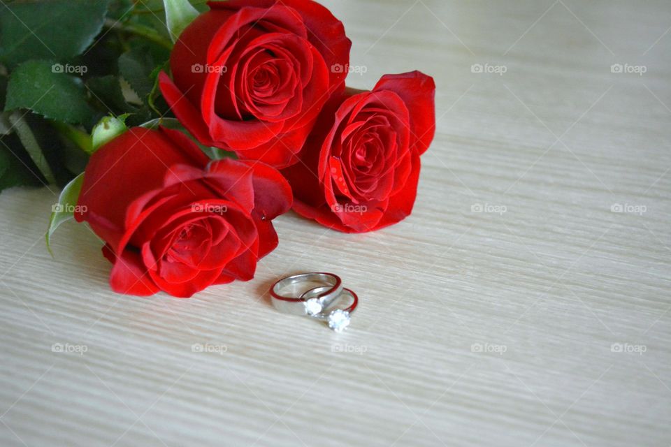 Rose, Romance, Love, Flower, Wedding