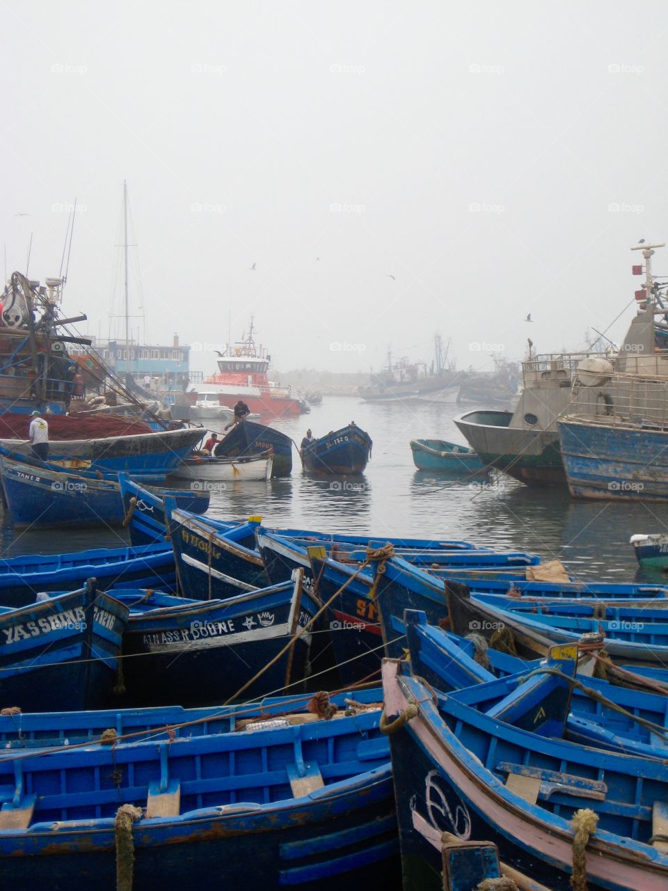 Essaouira harbour 