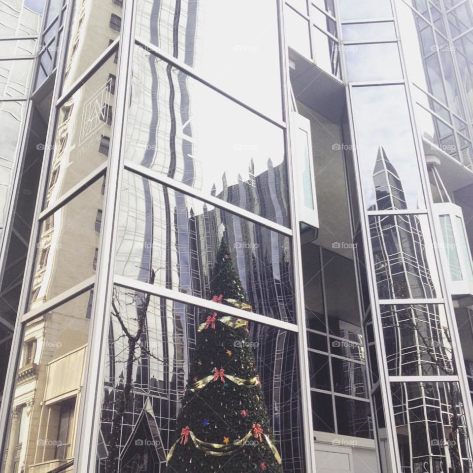 Reflections of Christmas