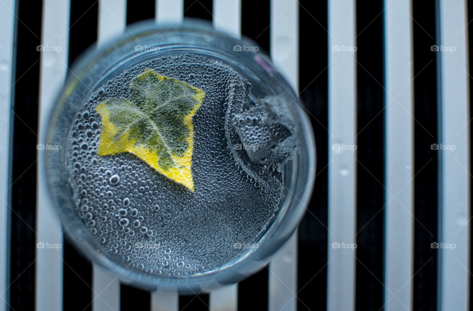 High angle view of leaf in tonic water