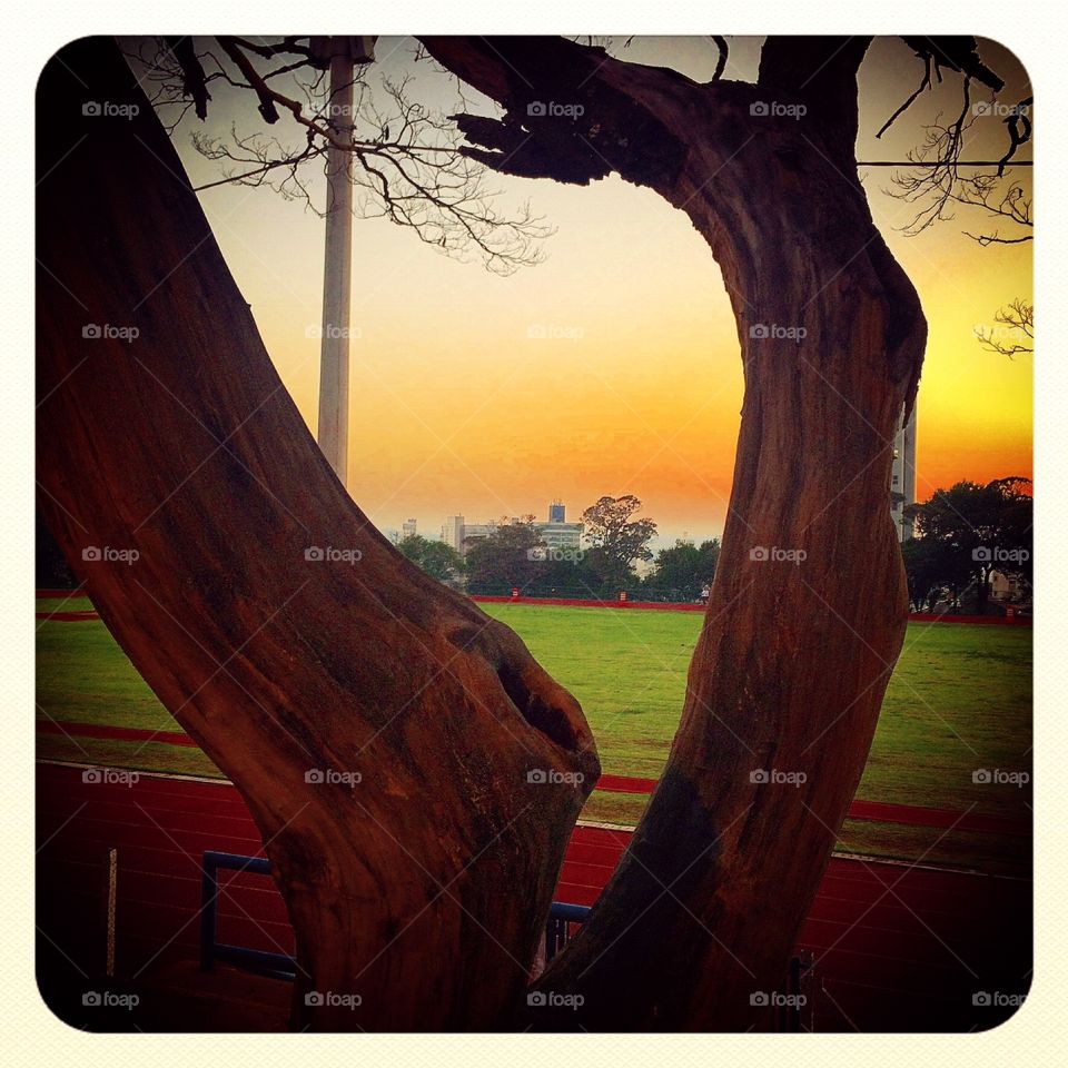 Um belo amanhecer de dia qualquer na pista de Atletismo do Complexo Esportivo do Bolão, em Jundiaí.