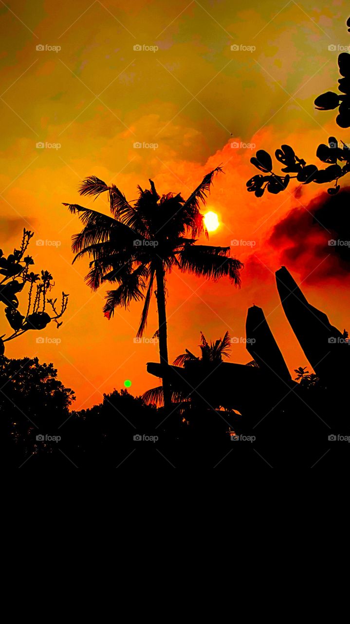 Sunset and silhouette