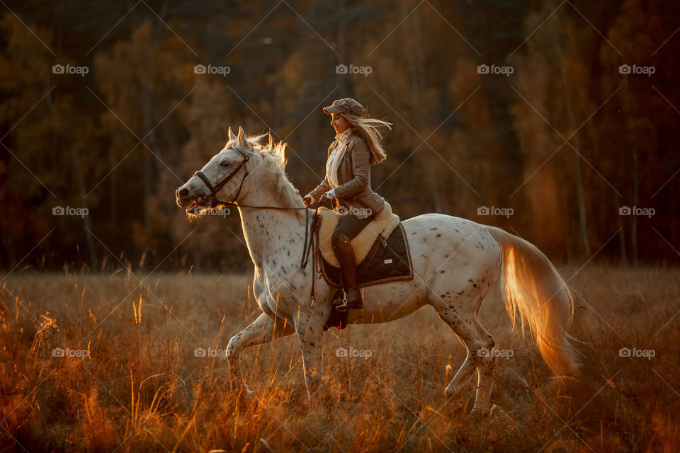 Evening walking horseback riding 