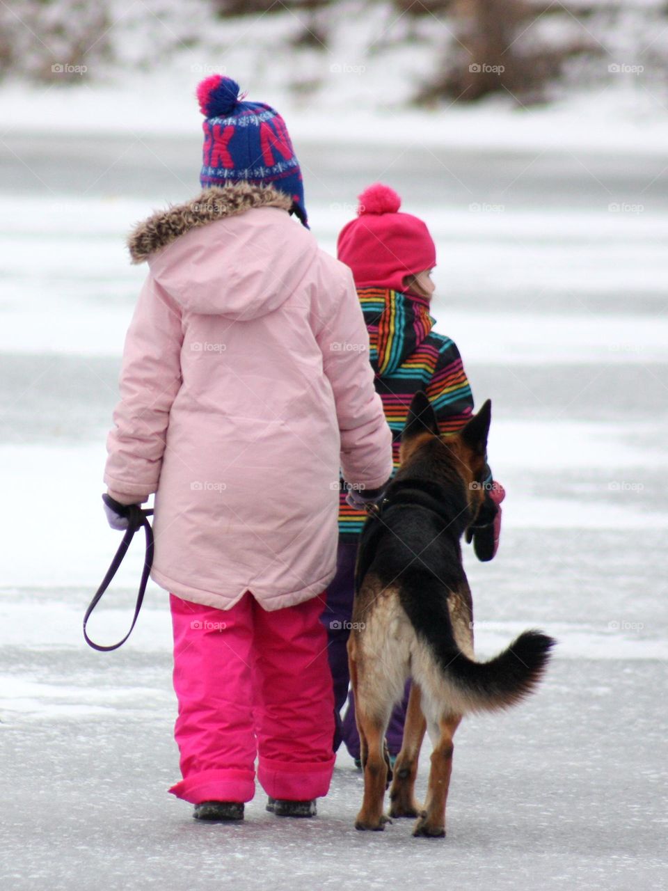 Girls walking with dog