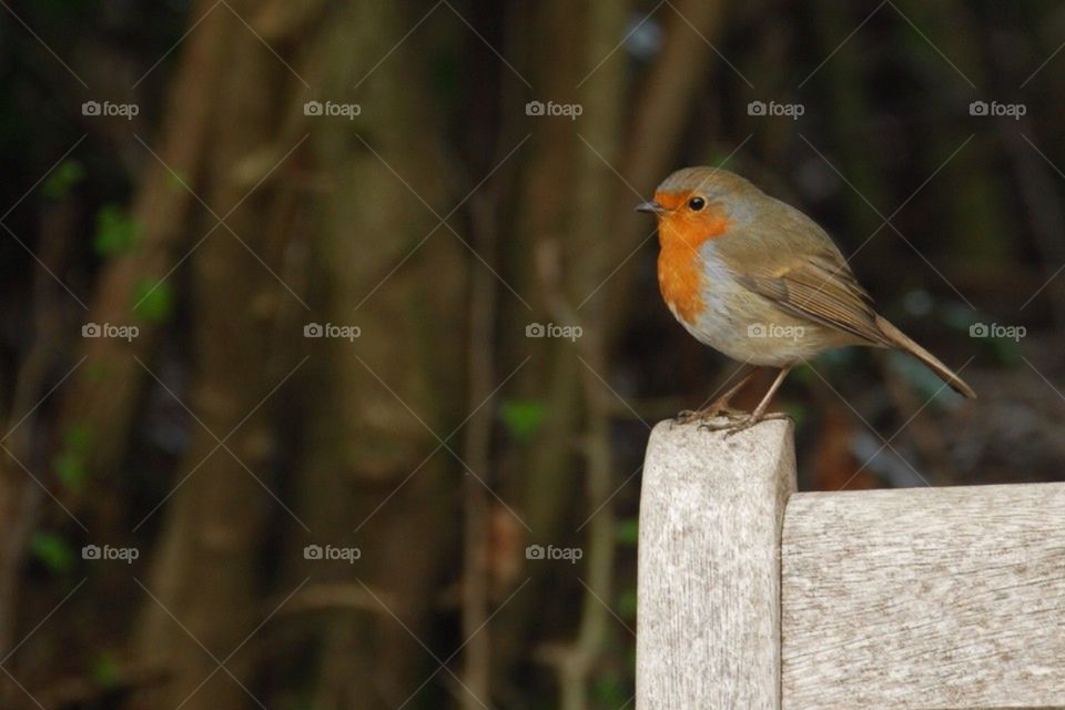 Watching The World Go Bye