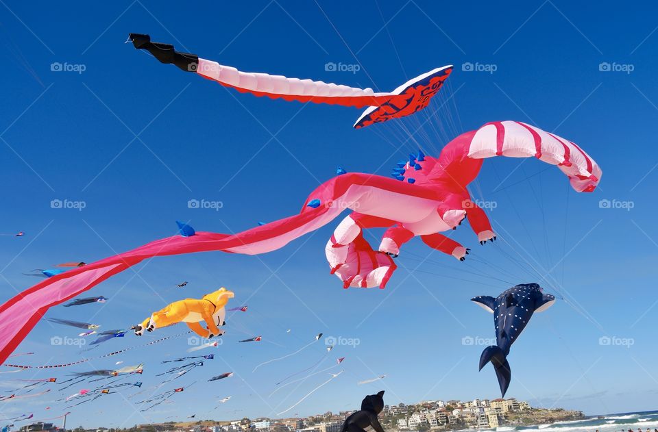 Festival of the Winds Bondi Beach 