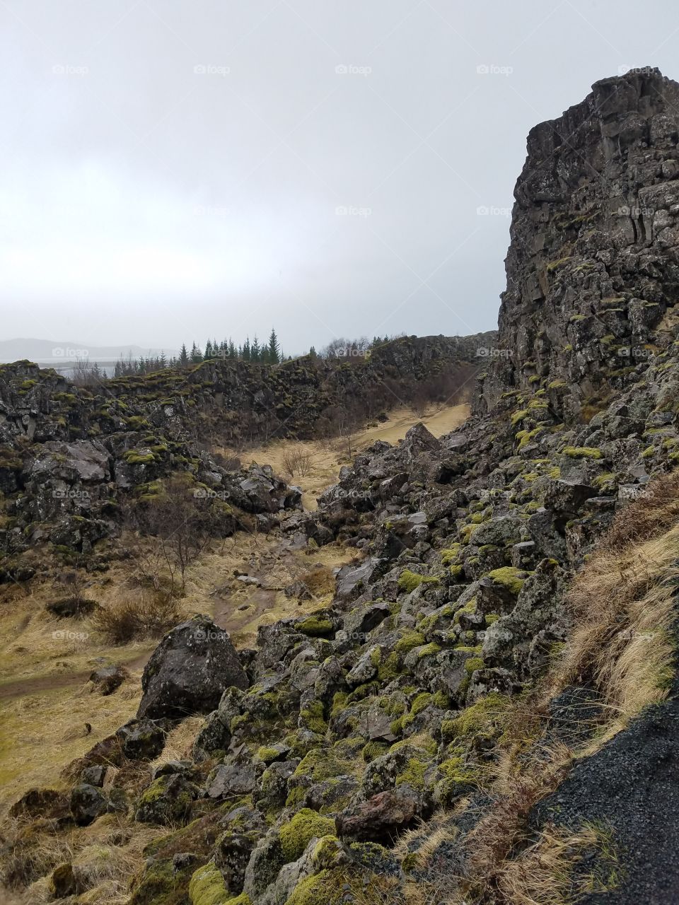 mid Atlantic ridge