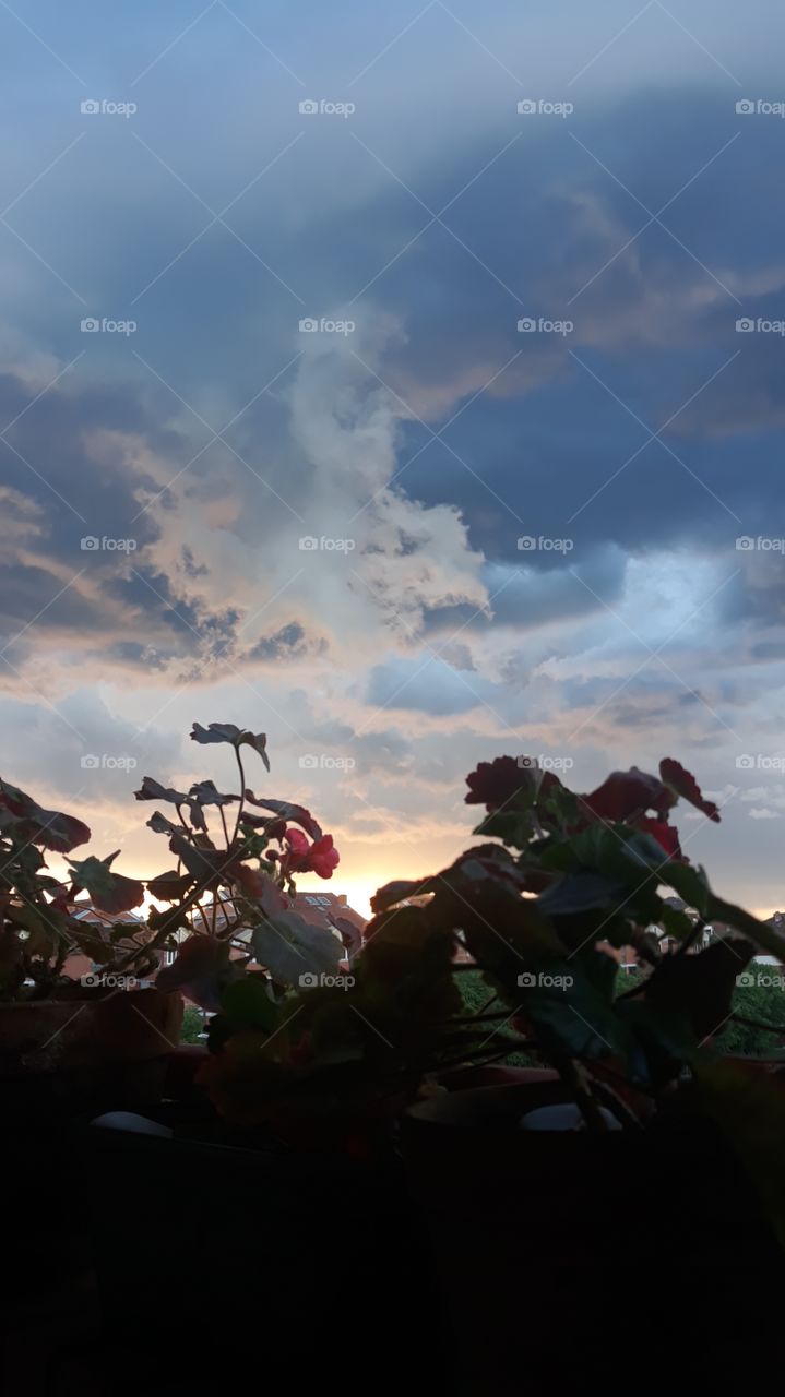 Be ready, storm is coming...