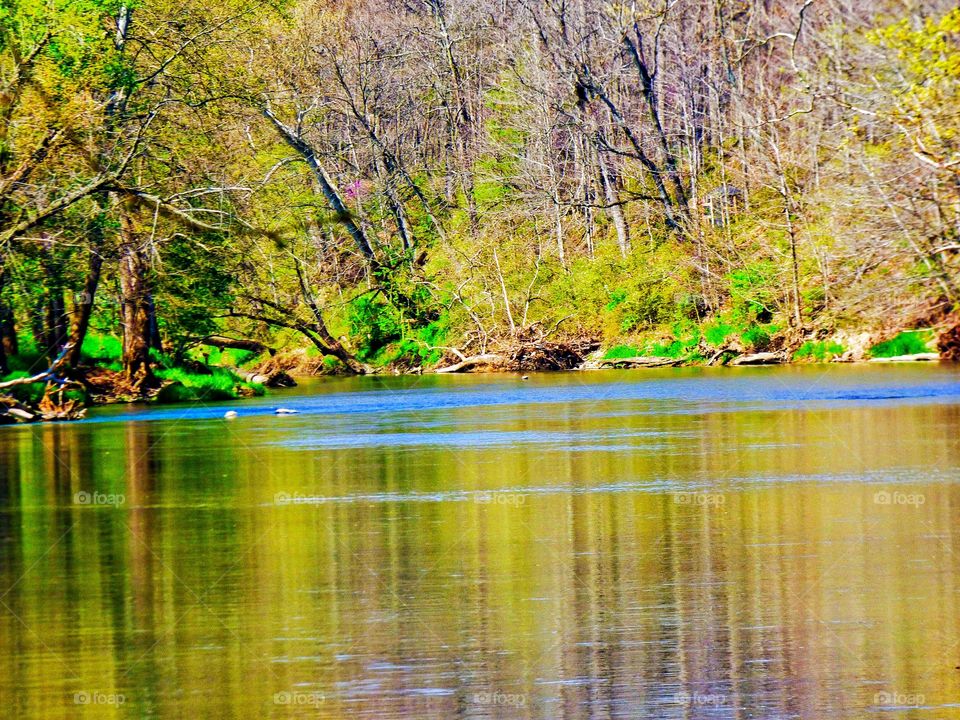 Spring on the river in Indiana. 