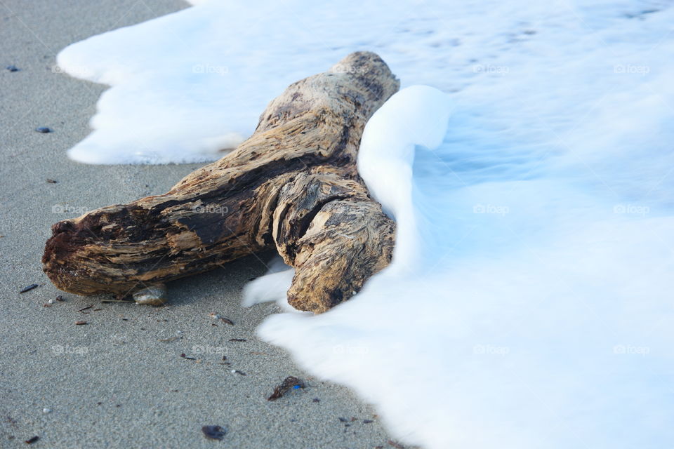 trunk at sea