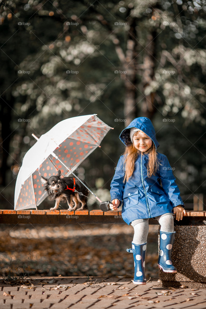 Little girl with umbrella in waterproof boots walking with chihuahua dog 