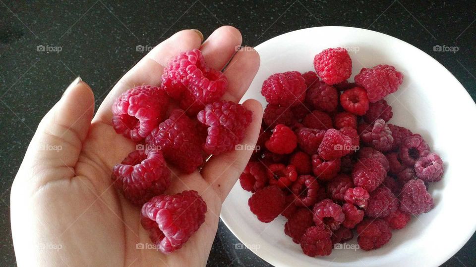 Giant late season raspberries