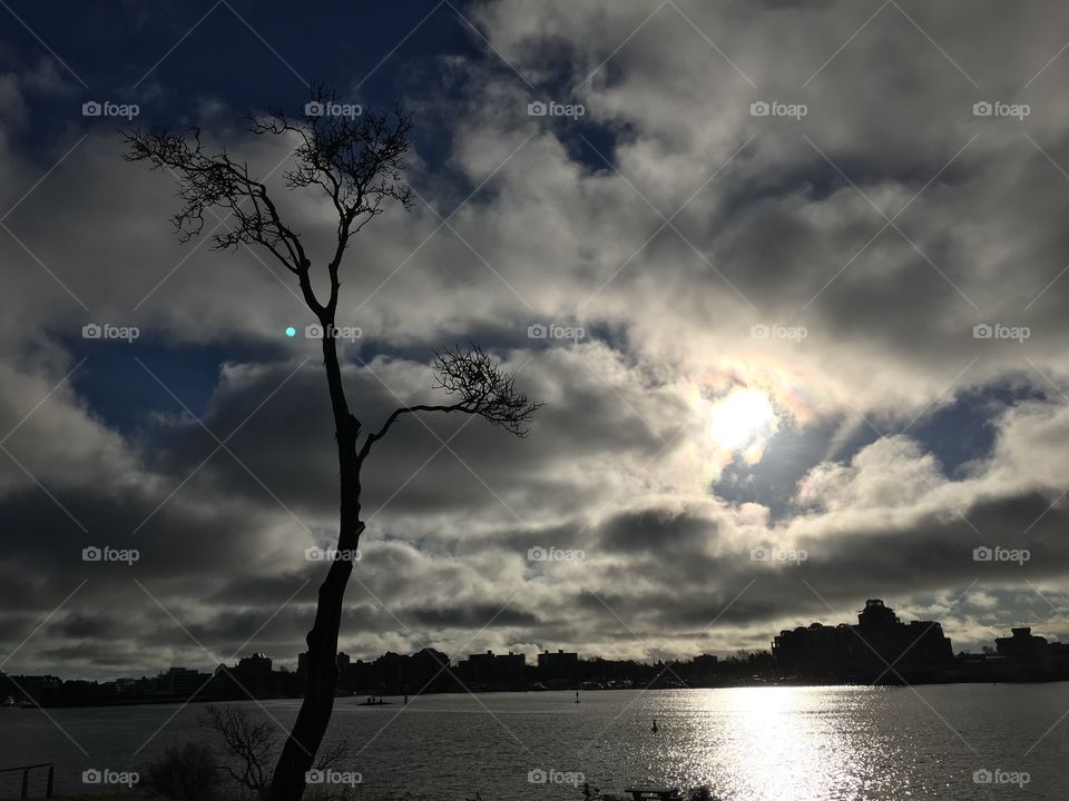 Scenic view of idyllic lake