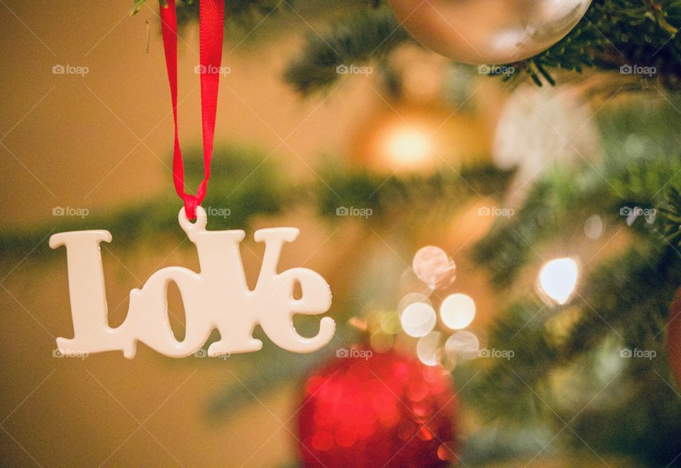 Love of Christmas 