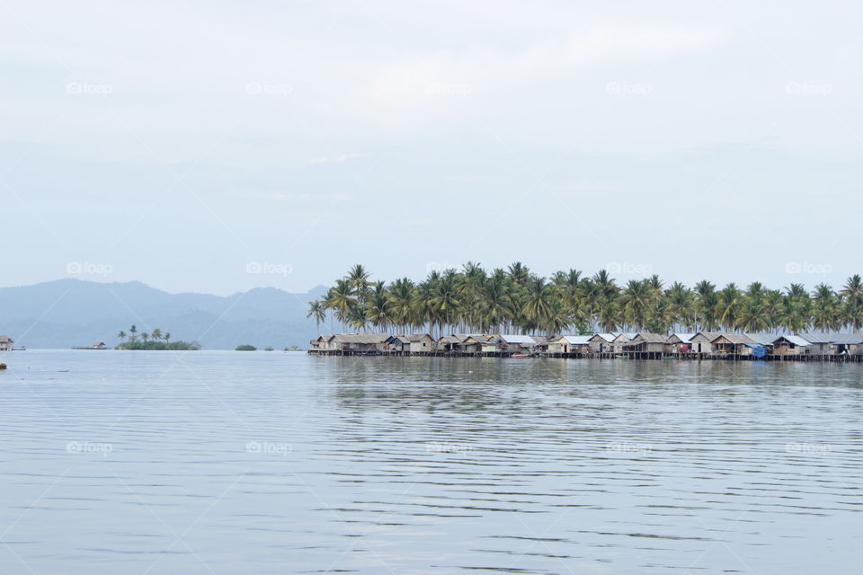 coconut and village on the water
