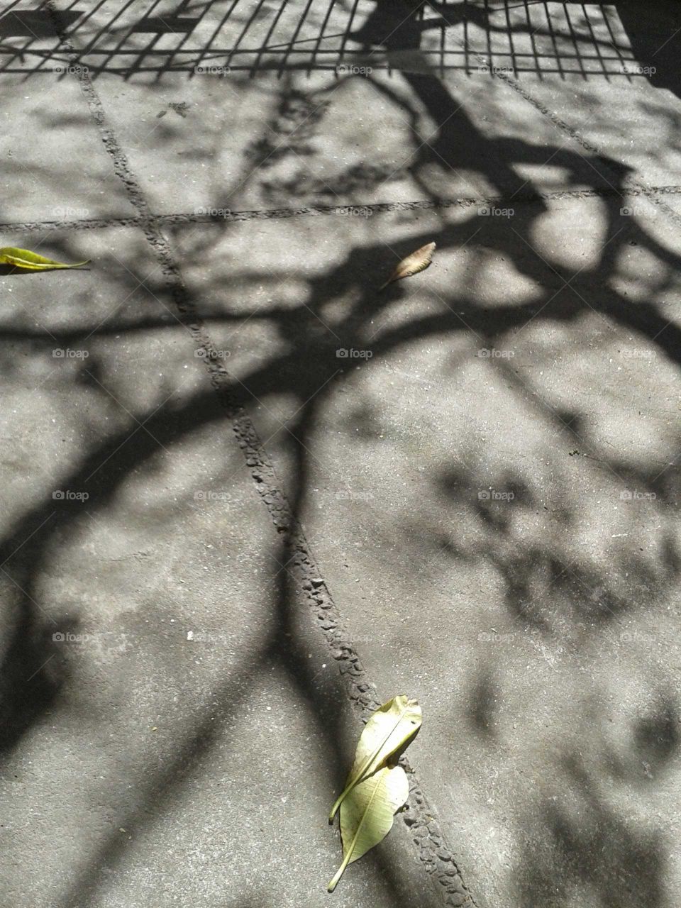 chão sombra calor verão