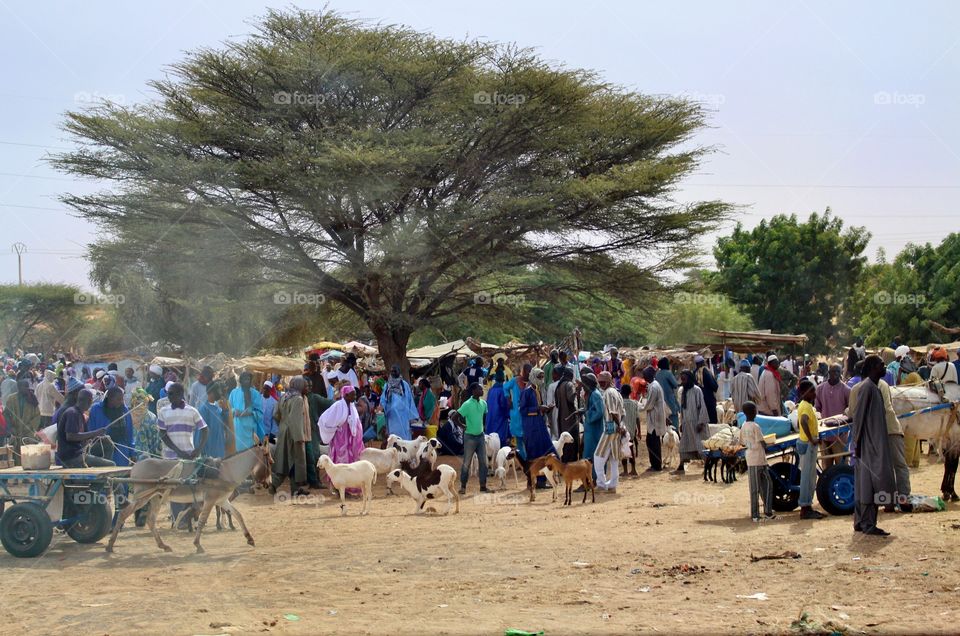 Market day in a local village