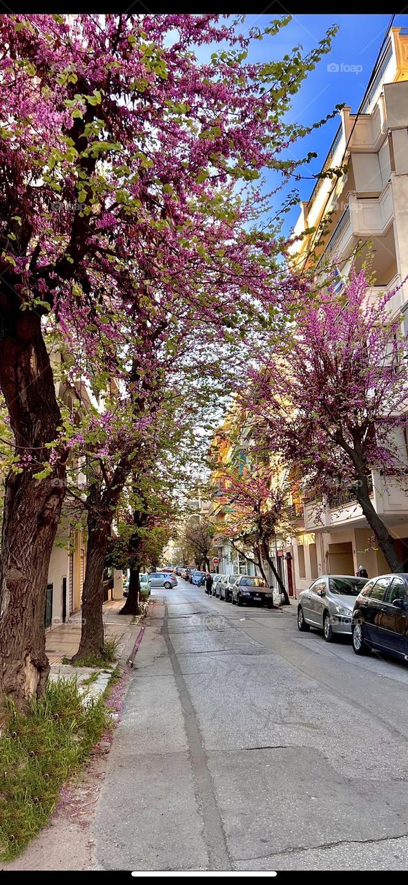 Athens Greece