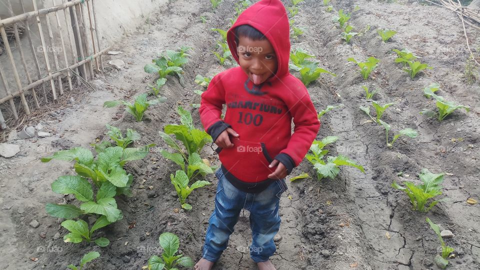 cute child in field