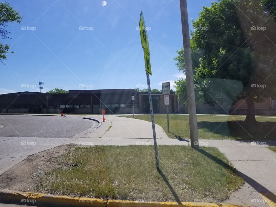 No Person, Road, Tree, Calamity, Landscape