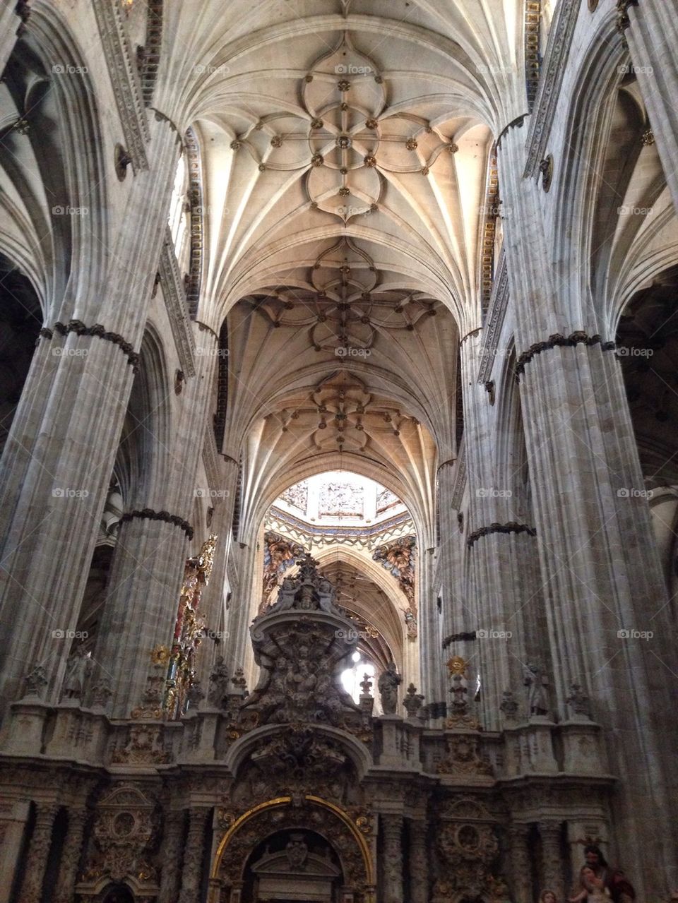 Cathedral Ceiling - Spain 