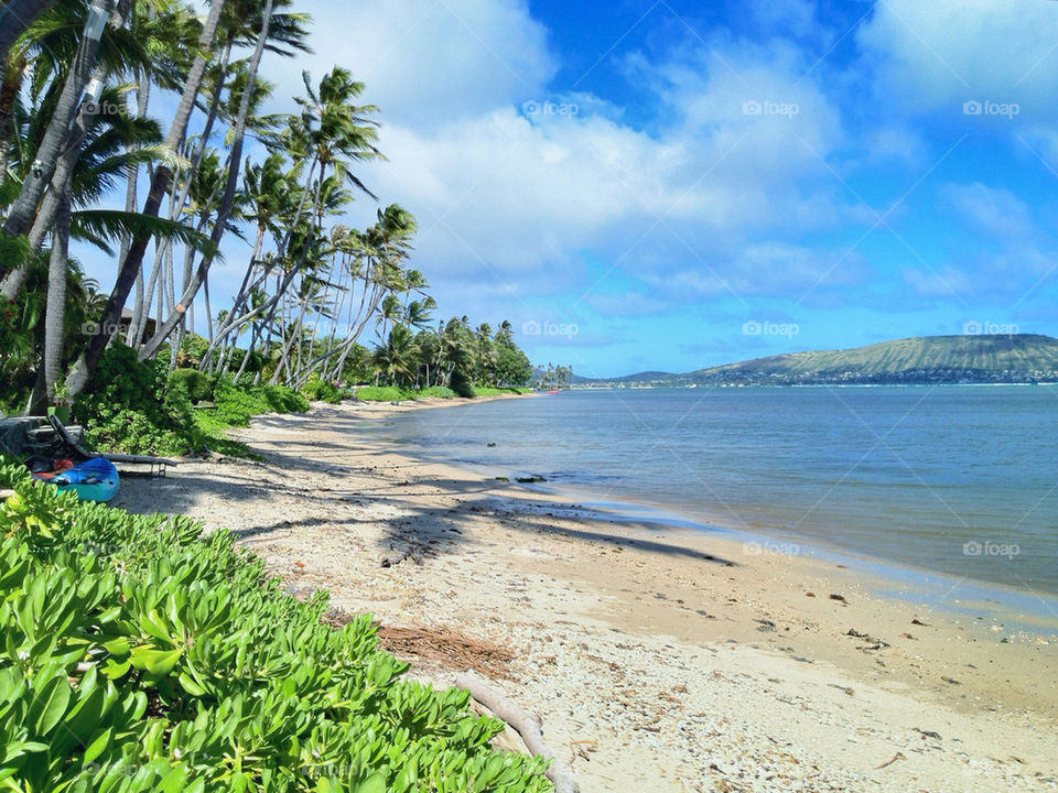 beach sky palm trees by tshfkym