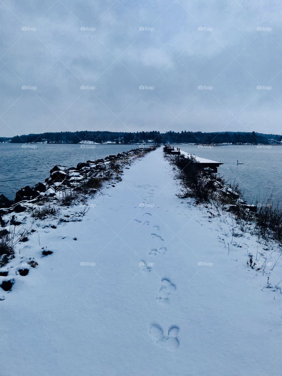 Winter in sweden