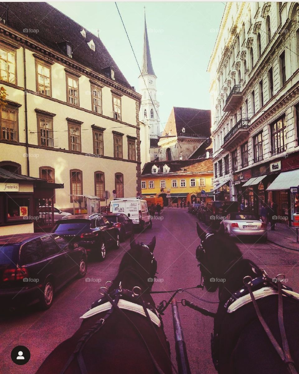 majestic Vienna... dont miss a walk...