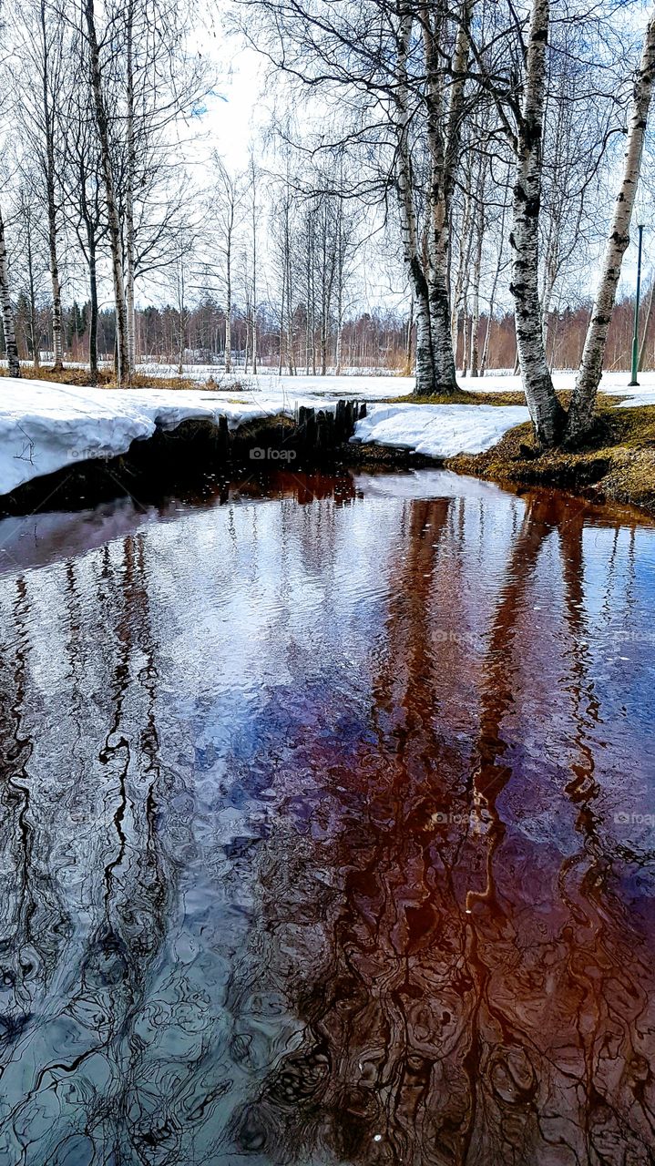 reflection in the stream