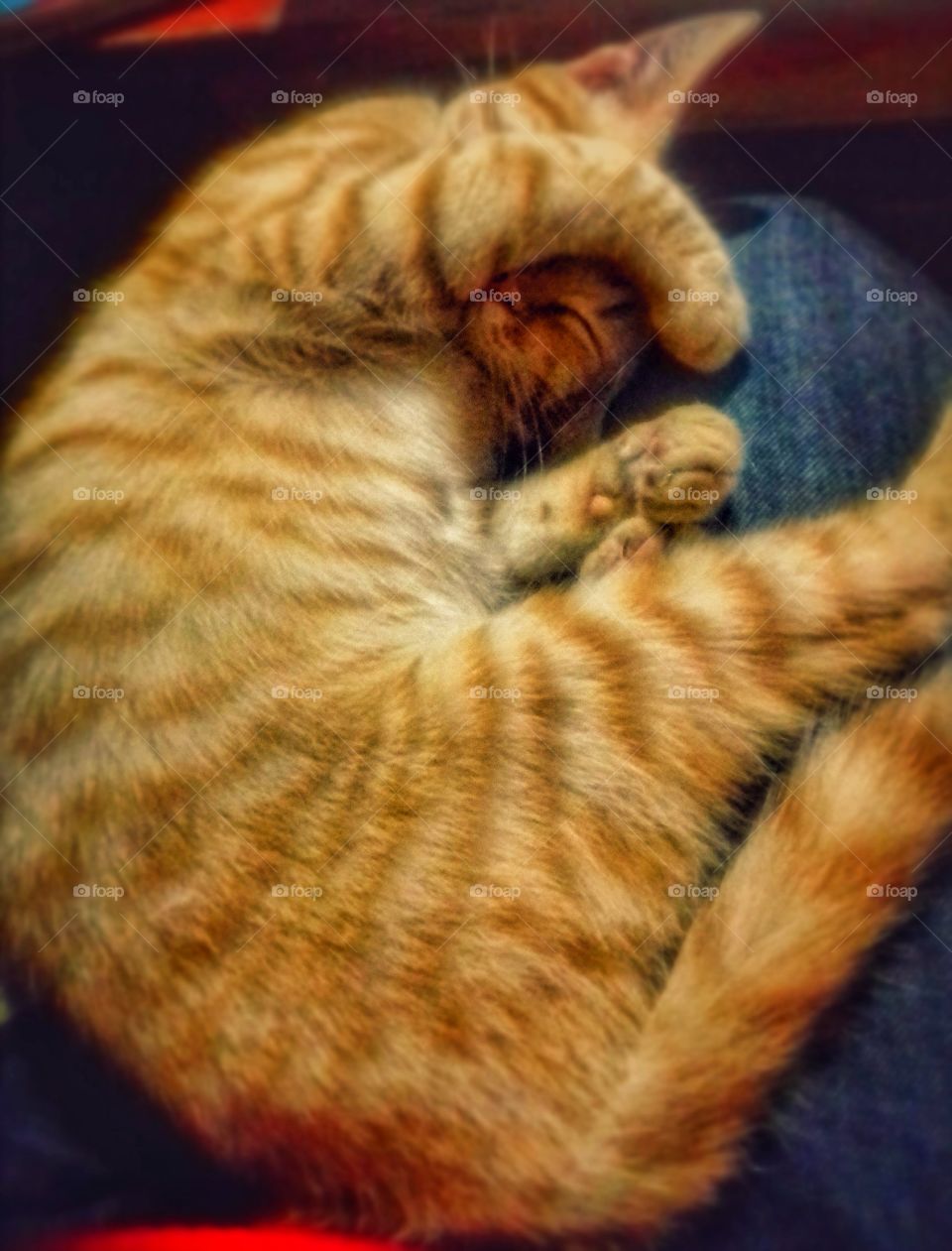 dormir da paz y él lo sabe