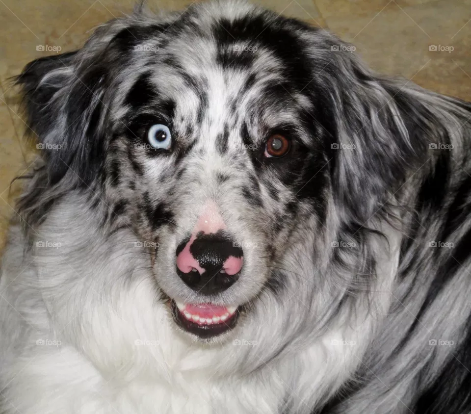 Cooper1