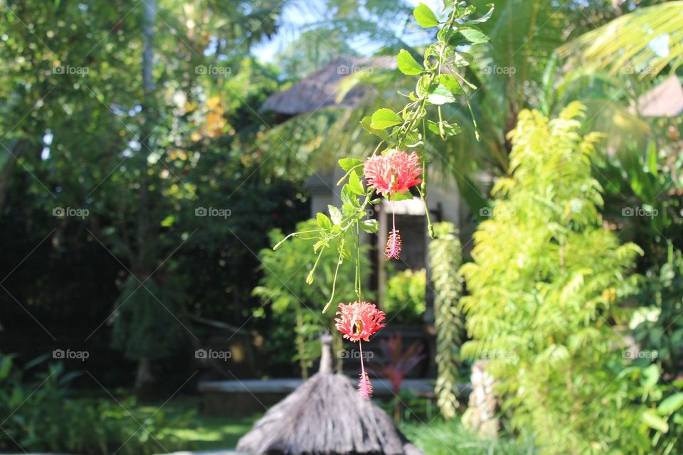 It is all in the details (and flowers) in Arma Bali resort area in Ubud, Bali