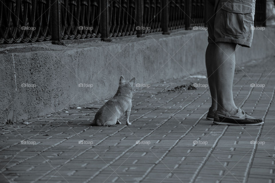 Staying by my friend