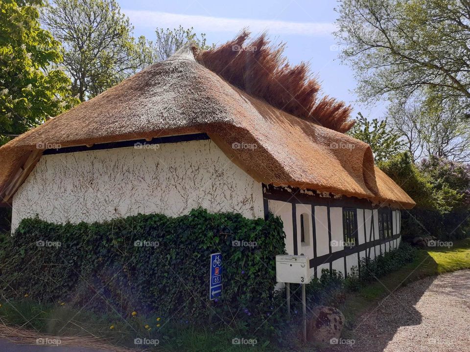 Danish house with straw