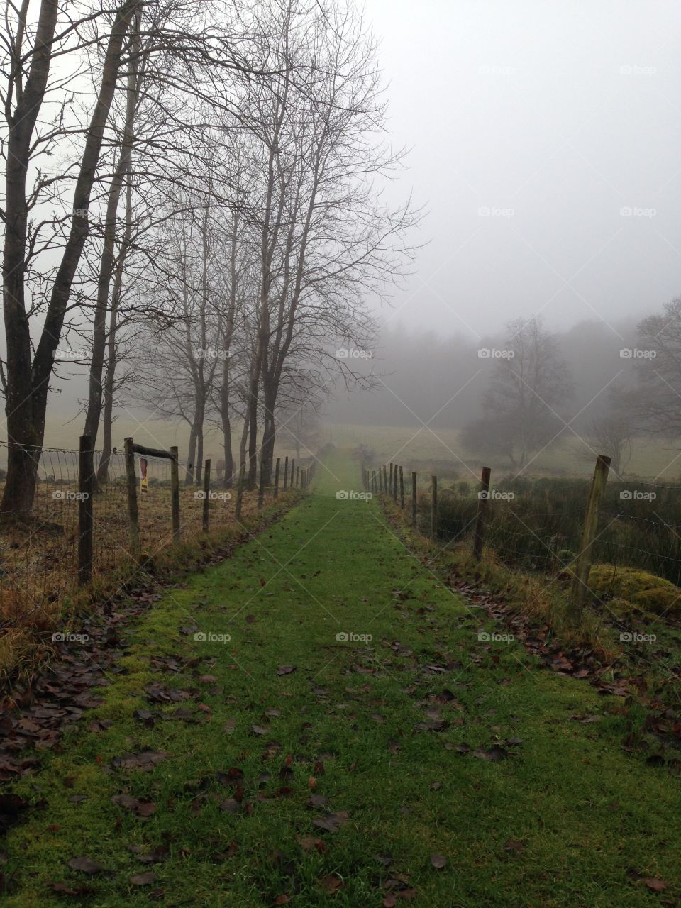 Rural countryside road 