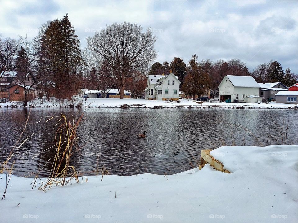 Winter Landscape 