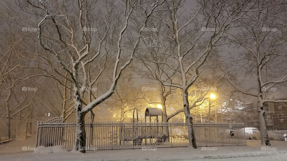 Snowy park, snow covered trees, empty street